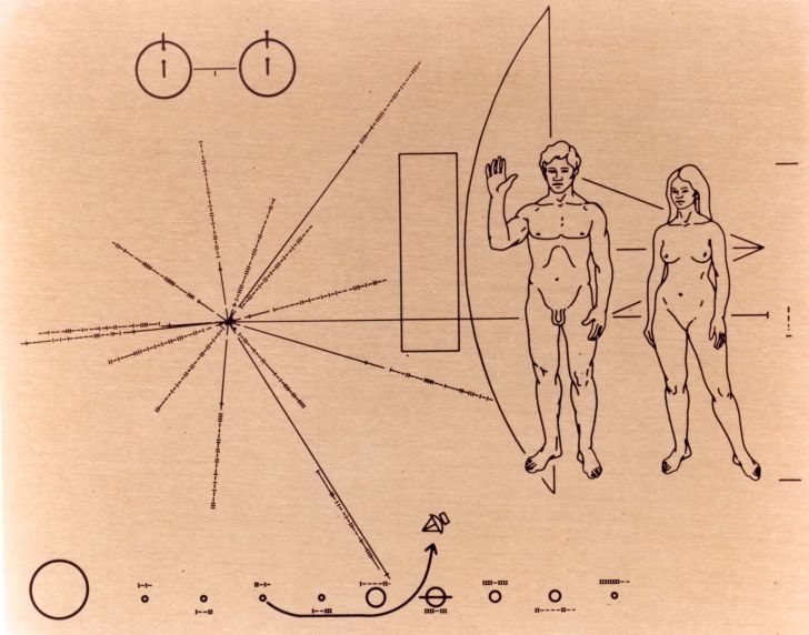pioneer plaketa